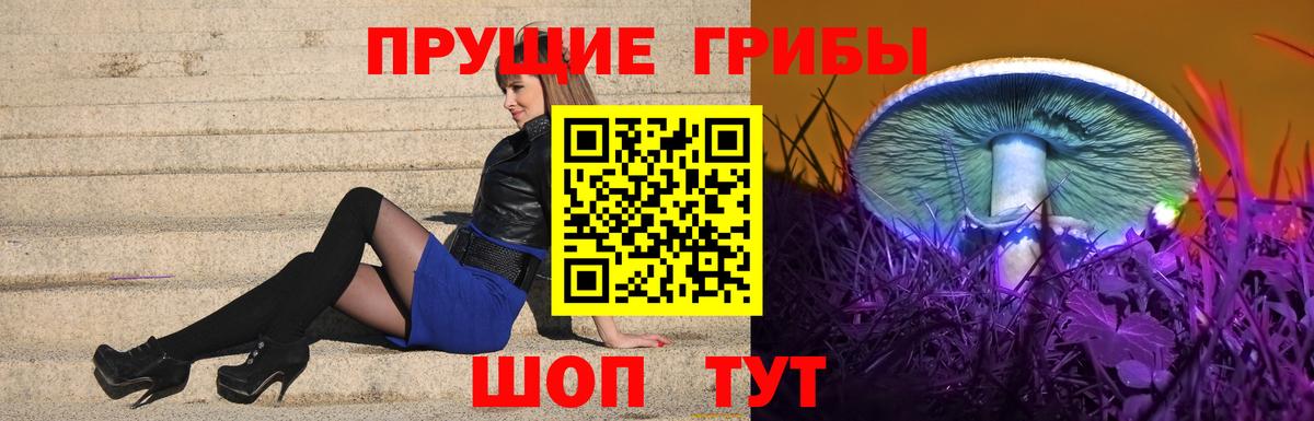 Галлюциногенные грибы Psilocybine cubensis Батайск